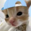 nick44556
