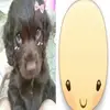 jujuinthatbeat2