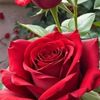 ubaid.khan3427