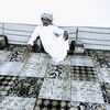 user8617172134730