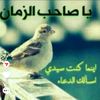 naba.wafa.313