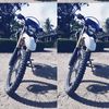 puji_cil8