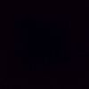 amil_0964