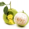 sero.hanta.1