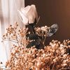 degirmencarki_03