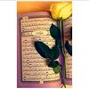 user4131004908817