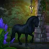 willow_716