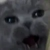 jakkk217