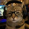 dave_himself