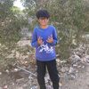 user8837768384713