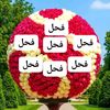 user79681909370