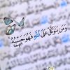 هـ𝄞ـدوء 『A』