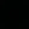 lix_p61