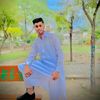 shayan_ssp_313