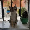 ifoulki.naomi