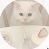 peachysoda21125