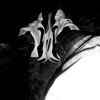 .yorman59