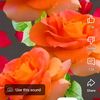 abdul.jolil.sarka