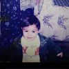 faress_amr