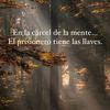 claudia.sanchez.o4