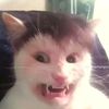 gumball_xd123