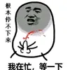 daicothu_06