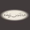 user069625871
