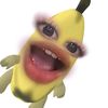 miairdna._