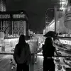 bngok_2310