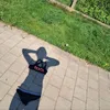 bob.de.bouwer16