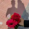 a.rrakib.ff