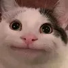 dongcomuonnam