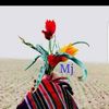 mj.ali.baloch
