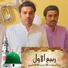 syedhussainzameer