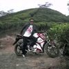 acep.nurdin37