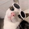 kwan_kao46