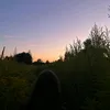 dasha_2211