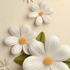 daisyflower0_