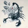 sh_po85