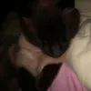 hyunjin_jinnn