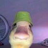 jawir_ira24