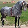 abdeljalil.addou