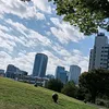 user8115928119086