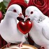 sousou.sawsan3