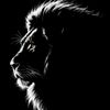 hamza.hamza49257