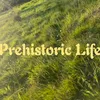 prehistoric36