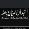 shain.e.haider.e.qaraar