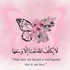 user6813074988430