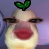 hanhnguyn87