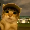 haha.ahrl